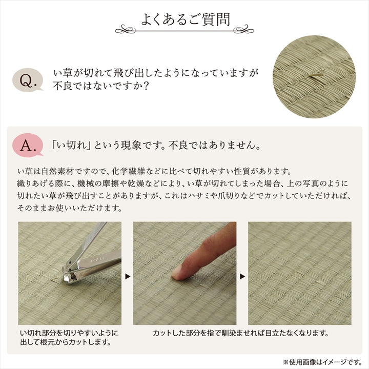 日本製日式現代輕巧藺草(燈芯草)榻榻米 (4 Size; 2色) \IKEHIKO/