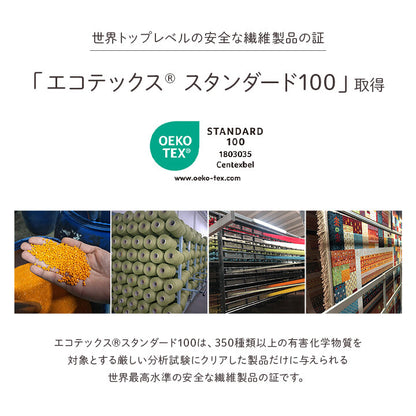 土耳其製威爾頓編織地毯 (4 Size) \IKEHIKO/