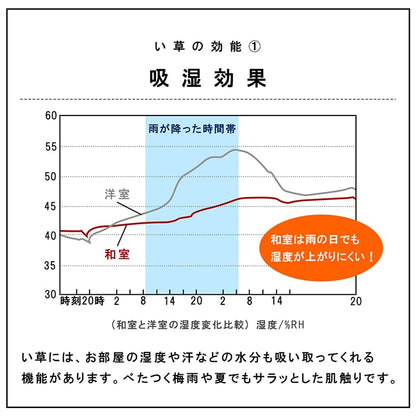 日本製3cm四層藺草(燈芯草)榻榻米 \IKEHIKO/