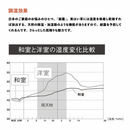 日本製藺草(燈芯草)榻榻米墊 (1枚; 2 Size) \IKEHIKO/